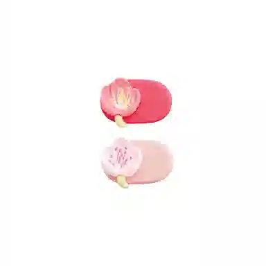 Crafts Women
