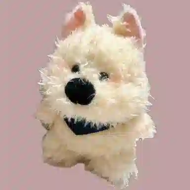 OLOEY 26cm35cm
