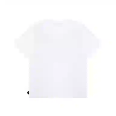 Aape T