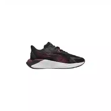 PUMA PWR Hybrid PWR