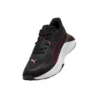 PUMA PWR Hybrid PWR