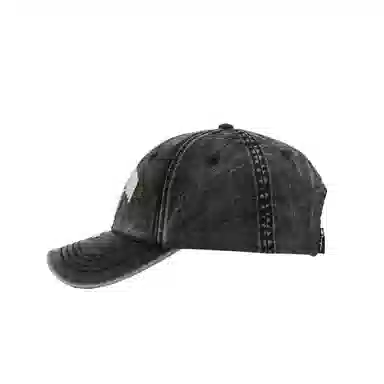 Champion Energetic Campus Ball Cap 2.0