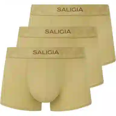 SALIGIA 3