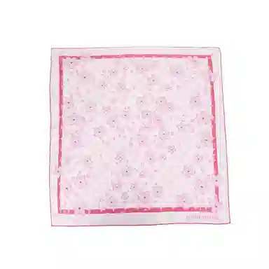 Louis Vuitton Scarf Pink