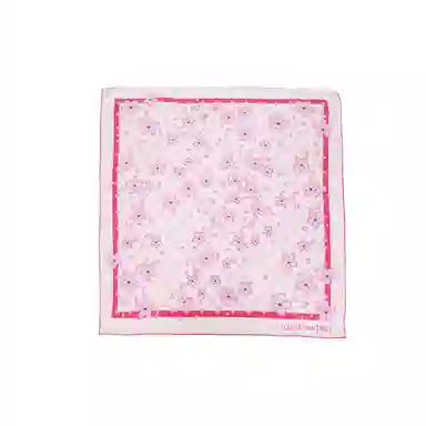 Louis Vuitton Scarf Pink