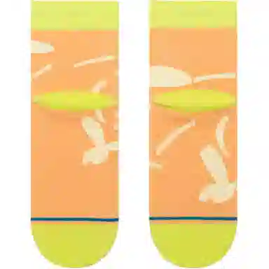 Stance CMM Portulaca QTR 1