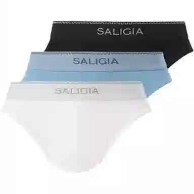 SALIGIA 3