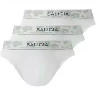 SALIGIA 3