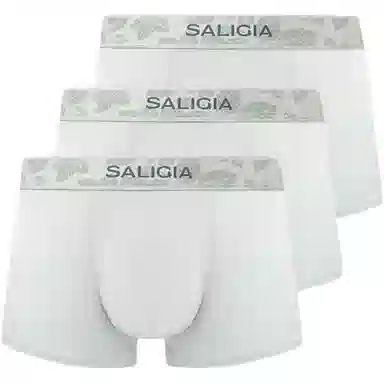 SALIGIA 3