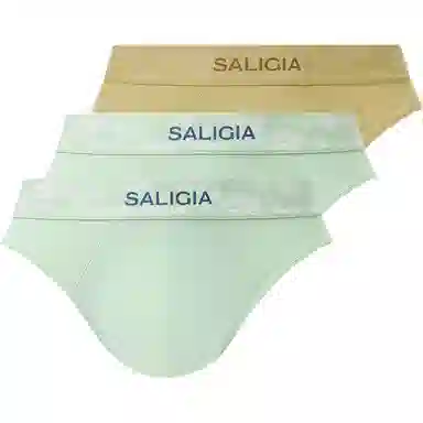 SALIGIA 3