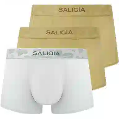 SALIGIA 3