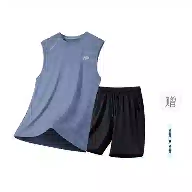 pallsupol