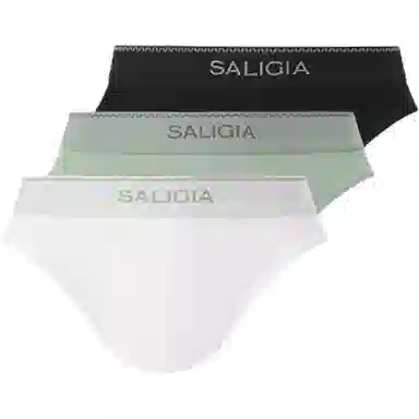 SALIGIA 3