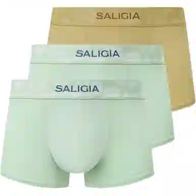 SALIGIA 3