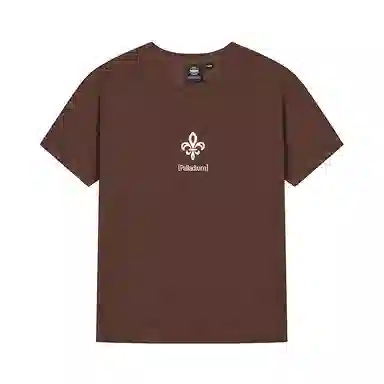 Palladium T