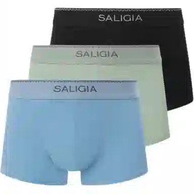 SALIGIA 100S 3
