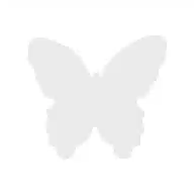 悦语 网红蝴蝶化妆镜月亮影楼户外拍照镜加厚创意摆拍神器