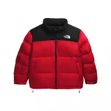 THE NORTH FACE 1996 Retro Nuptse