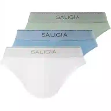 SALIGIA 3