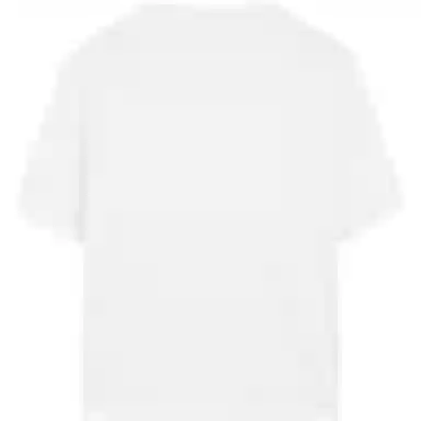 Massimo Dutti T