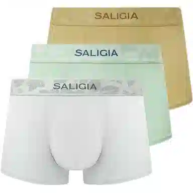 SALIGIA 3