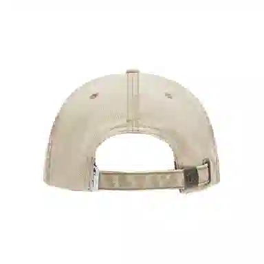 Champion Energetic Campus Ball Cap 2.0