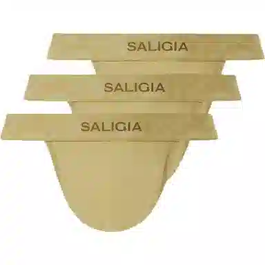 SALIGIA 3