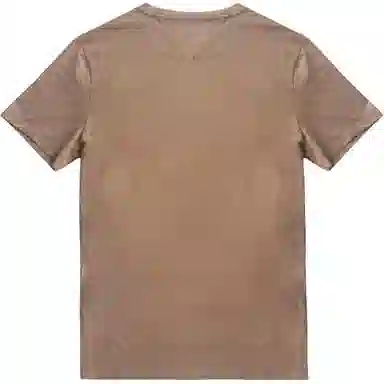 Tommy Hilfiger SS25 T