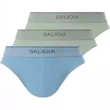 SALIGIA 3