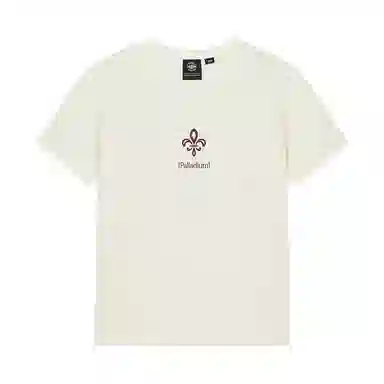Palladium T