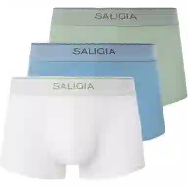 SALIGIA 100S 3