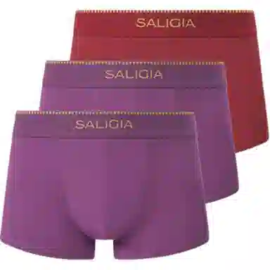 SALIGIA 140S 3