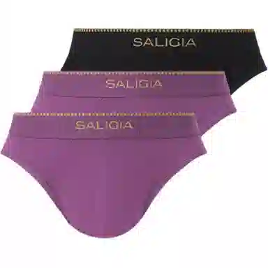 SALIGIA 3