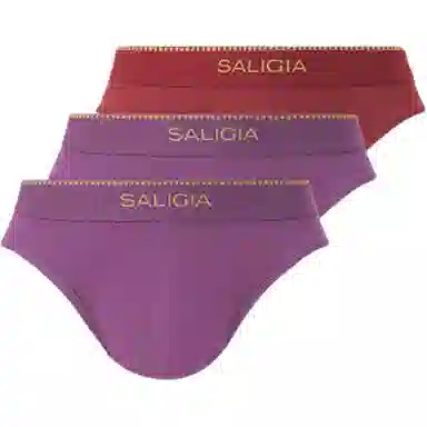 SALIGIA 3