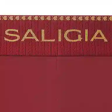 SALIGIA 3