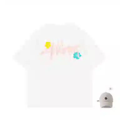 PLAN IN T