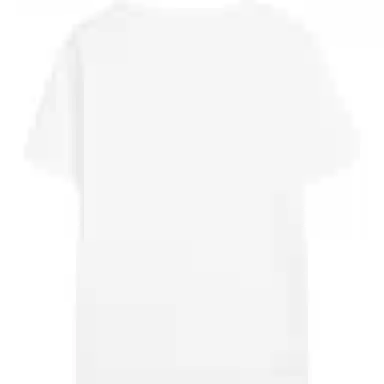 Massimo Dutti V T