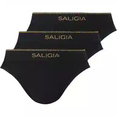 SALIGIA 3