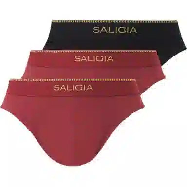 SALIGIA 3