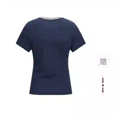 pallsupol Vlogo T