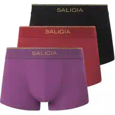 SALIGIA 140S 3