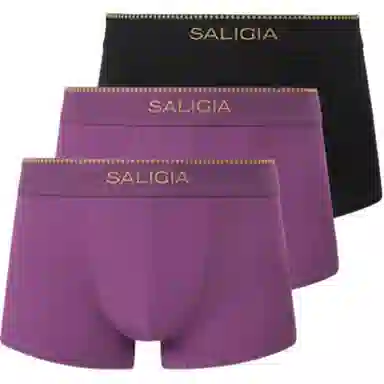 SALIGIA 140S 3