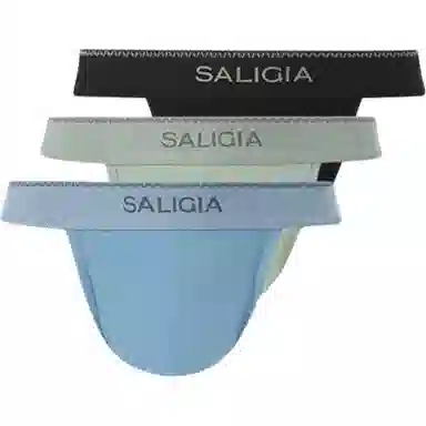 SALIGIA 3