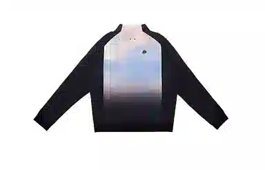 TEAM WANG design MONET T1