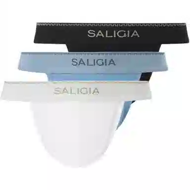SALIGIA 3