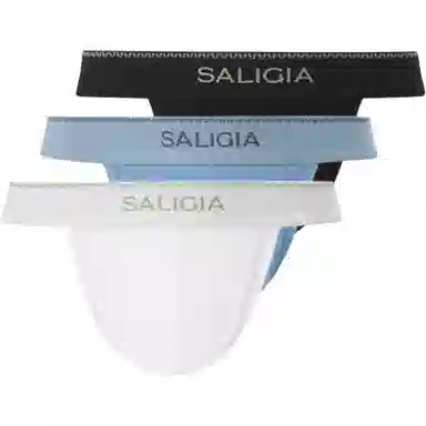 SALIGIA 3