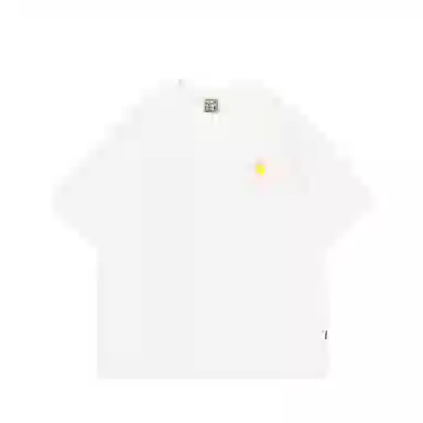 PLAN IN T