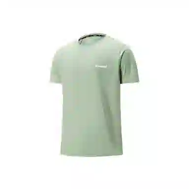 hummel T