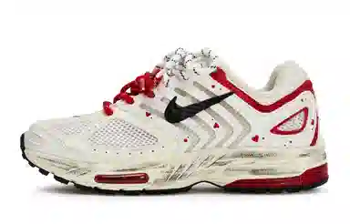 Nike Air Pegasus 2K5 811
