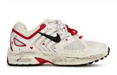 Nike Air Pegasus 2K5 811